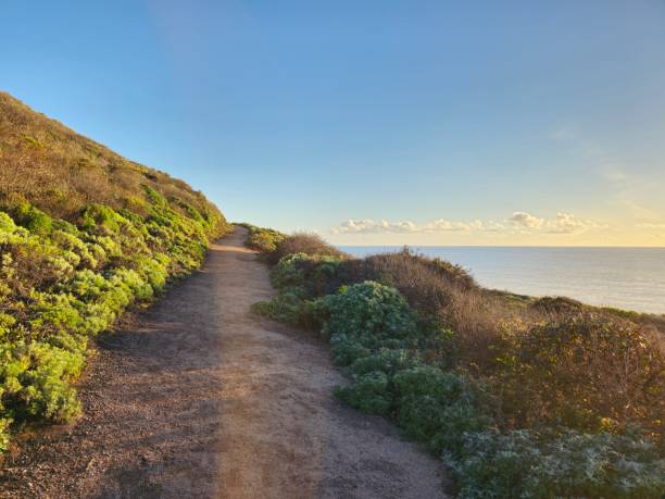 istock Road on coastal mountain 1473838092