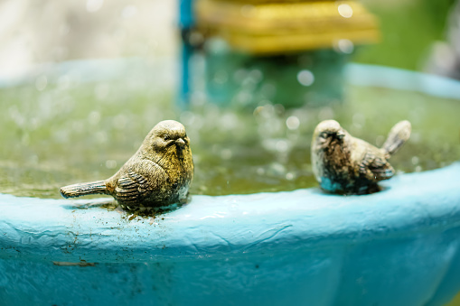 Two little bronze sparrow bird sculptures were settled on the rim of the blue garden fountain. The water dripped on the water surface