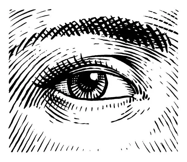 Vector illustration of Vector drawing of an eye made in engraving style