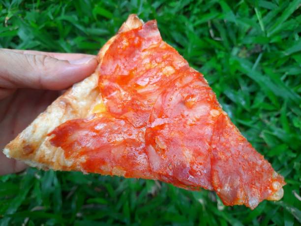Hand holding Pizza - green grass background.