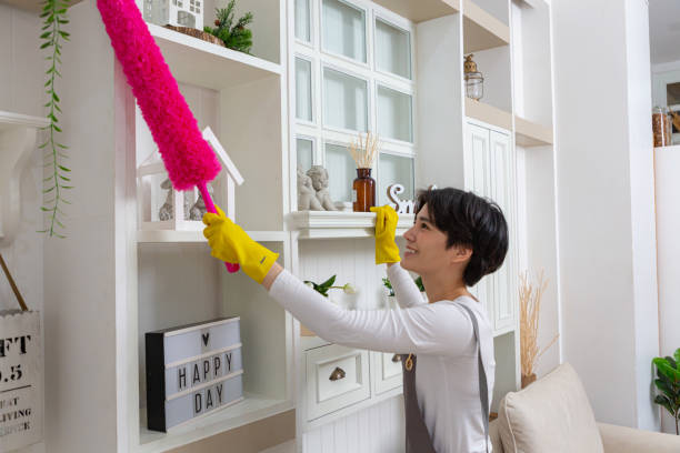 Woman cleaning dust from bookshelf. Young girl sweeping shelf in living room. stock photo