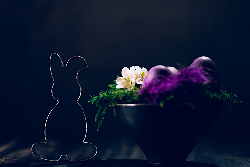 Dark low key still life of an Easter bunny cookie cutter and almond blossoms and eggs in a black bowl with green moss on black background. Creative color editing with added grain. Very soft and selective focus. Part of a series.