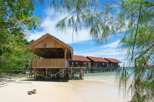 typowe lokalne drewniane chaty wodne na plaży - raja ampat, papua zachodnia, indonezja - crusoe zdjęcia i obrazy z banku zdjęć