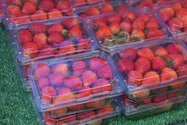 istock Strawberries in plastic boxes sold in the market 1473854431