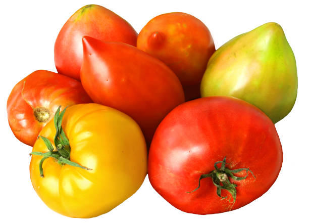 istock Tomatoes of different colors isolated on white background. 1473854614
