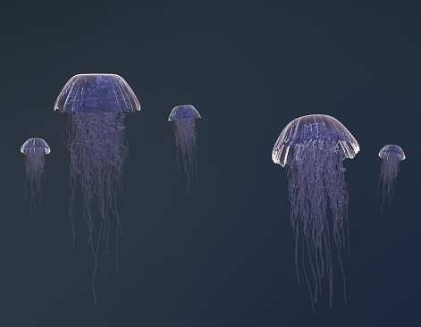 Group of jellyfish swimming calmly in blue water upwards 3D render photo