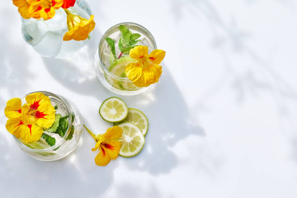 Iced lemonade with edible nasturtium flowers, lime and mint leaves. Refreshing summer drink. Healthy organic summer soda drink. Detox water. Diet unalcolic coctail. Iced lemonade with edible nasturtium flowers, lime and mint leaves. Refreshing summer drink. Healthy organic summer soda drink. Detox water. Diet unalcolic coctail. infused water stock pictures, royalty-free photos & images