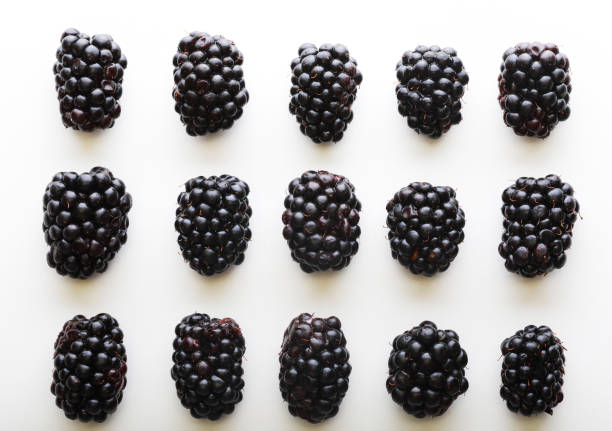 pattern of fresh blackberries on a white background, food concept.