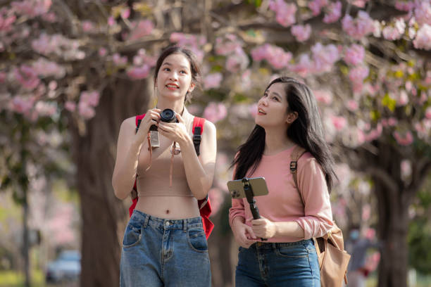 istock Two female tourists looking at cherry blossoms 1473856203
