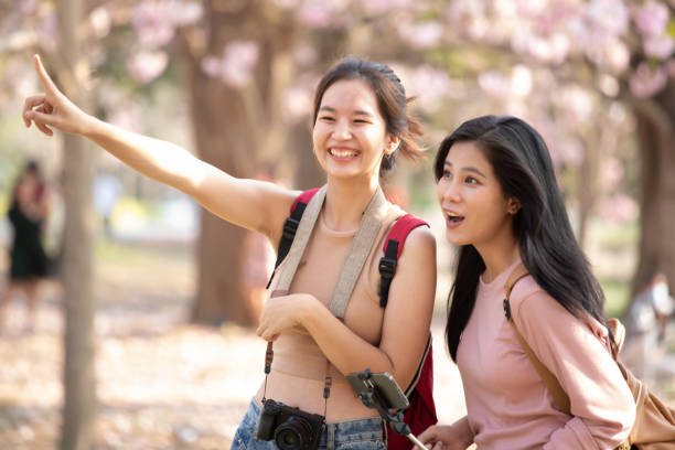 istock Two female tourists looking at cherry blossoms 1473858072