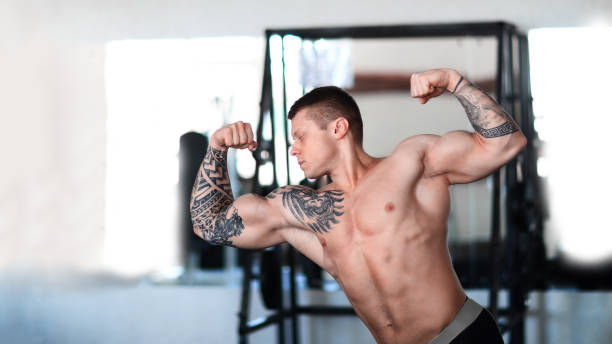 male bodybuilder performs exercises in front of a mirror . male bodybuilder performs exercises in front of a mirror . photo with copy space man muscular chest stock pictures, royalty-free photos & images