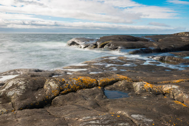 istock Black rocks and yellow lichen 1473865776