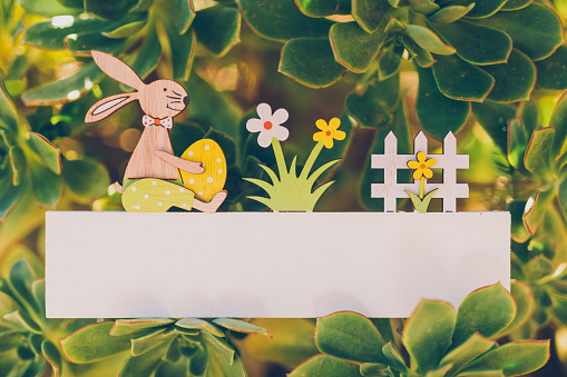Cute close up of an empty Easter board with a bunny and egg decoration in the garden between succulents as a mockup for your Easter text message. Creative color editing. Very soft and selective focus. Part of a series.