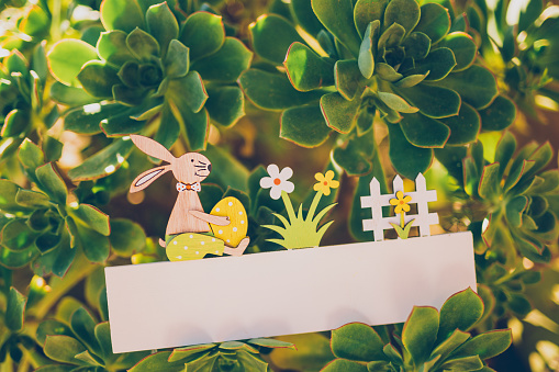 Sweet close up of an empty Easter board with a bunny and egg decoration in the garden between succulents as a mockup for your Easter text message. Creative color editing. Very soft and selective focus. Part of a series.