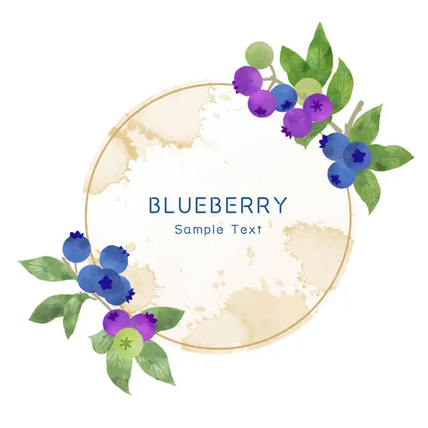 Vector illustration of Circular old paper and blueberry frame illustration material