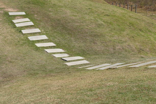Walkway in the park on green grass