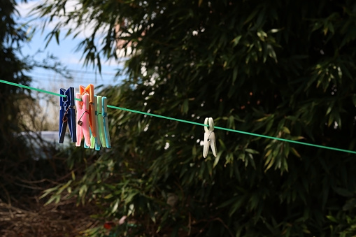 Tweezers to hang clothes to dry, colored, in the garden
