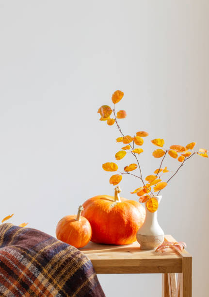 白い背景に花瓶とカボチャのオレンジ色の葉を持つ秋の枝 - bouquet flower autumn vase ストックフォトと画像