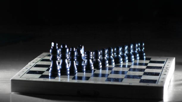 체스 보드에 검은 조각. 사진 복사 공간 - chess defending chess piece chess board 뉴스 사진 이미지