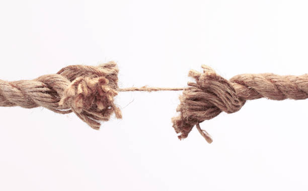 istock closeup.old frayed rope .isolated on a white background. 1473877747