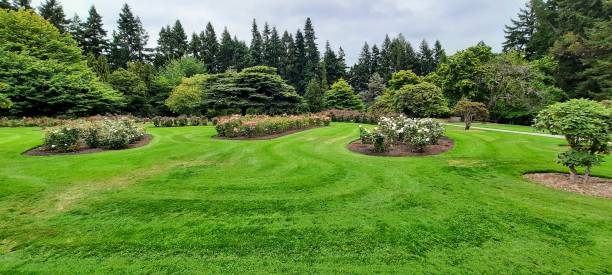 istock Park Garden in Autumn 1473887287