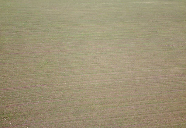 Green fields in Bavaria in the valley with aerial view in winter