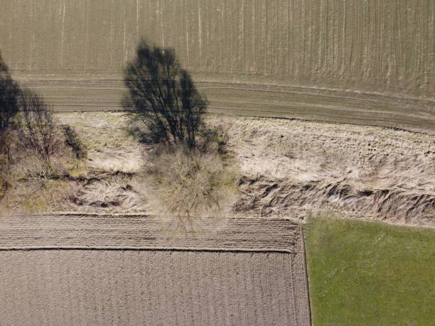 istock Long shadows from avenue deciduous trees at springtime in Bavaria 1473889201