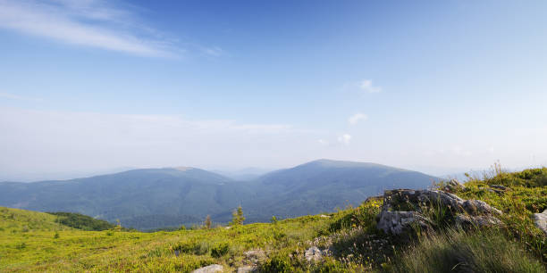 istock meadow with stones among the grass on hillside 1473890546