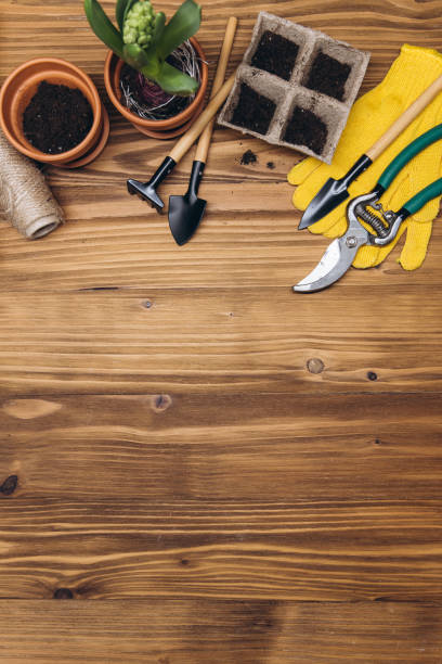 istock Composition with flowers and gardening tools with space for text on the wooden background 1473896056