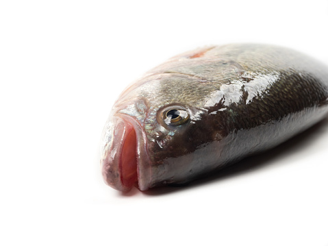 Supermarket situation - fresh fish in ice bath