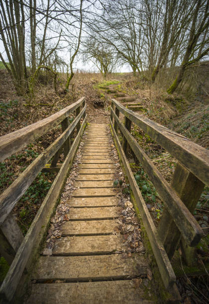 passerelle en bois - trail marker hiking sign sports and fitness photos et images de collection