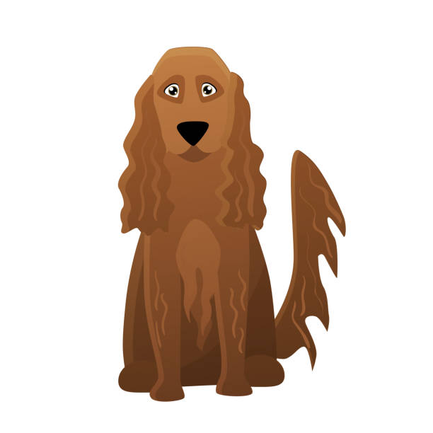ilustrações de stock, clip art, desenhos animados e ícones de irish setter dog - dog spotted purebred dog kennel