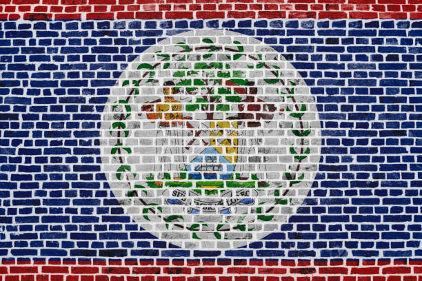 Close-up on a brick wall with the flag of Belize painted on it.