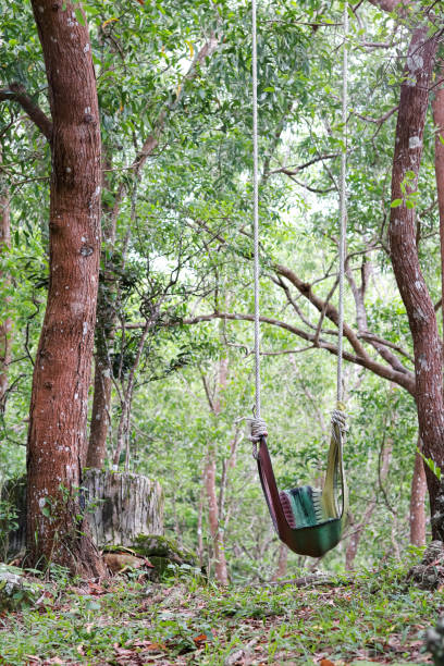 oscillazione nella foresta - freedom tire swing tire swing foto e immagini stock