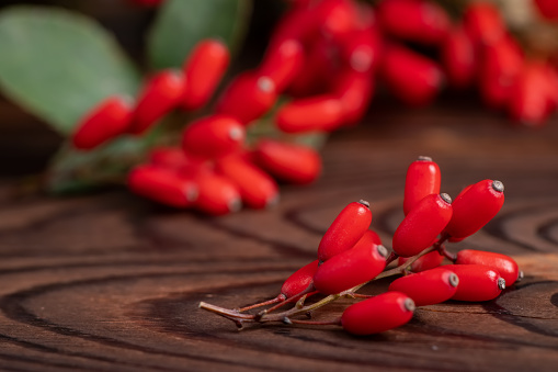 Barberry, Berberis vulgaris, branch with natural fresh ripe red berries on wooden background. Red ripe berries and colorful red and yellow leaves on berberis branch with green background