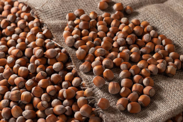 istock close up of hazelnuts on wooden table, top view 1473908818