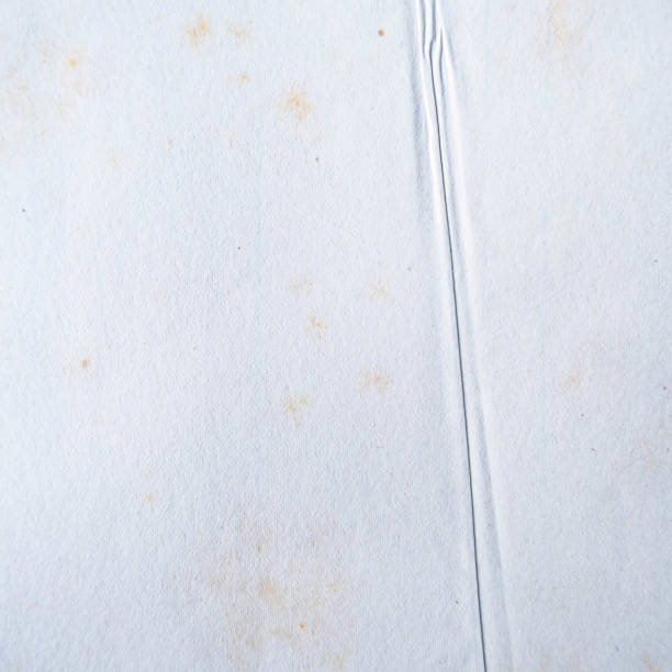 istock Vintage cardboard paper texture background for design with copy space for text or image 1473909404