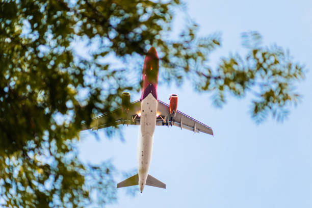 View of the airplane in the sky from the ground.