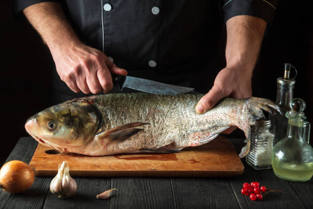 istock The chef prepares silver carp in the restaurant kitchen. Preparation for cutting fish with a knife. Work environment on the kitchen table. 1473910818