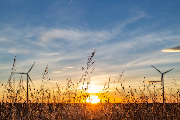 champ de blé contre parc éolien au crépuscule - dramatic sky dusk night sustainable resources photos et images de collection