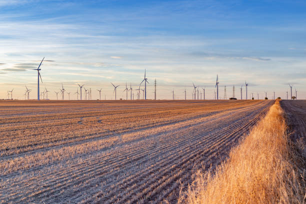 istock Wind power farm in agricultural field at sunset 1473916135