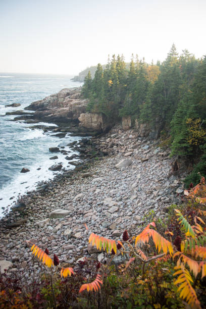 istock Rocky coastline at Arcadia National Park 1473919518