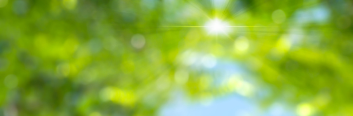 blurred abstract spring background with defocused lights and sun, view from below against green trees and blue sky, nature idyll banner with copy space