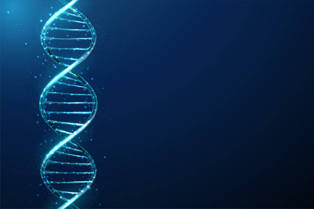 Abstract blue low poly DNA molecule helix structure Abstract blue 3d DNA molecule helix. Gene editing, genetic biotechnology and engineering concept. Low poly style design. Geometric background. Wireframe light graphic connection structure. Vector genetic makeup stock illustrations