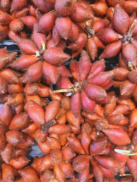 Frische Salacca zalacca oder Salak Früchte verkaufen sich auf dem Markt. – Foto