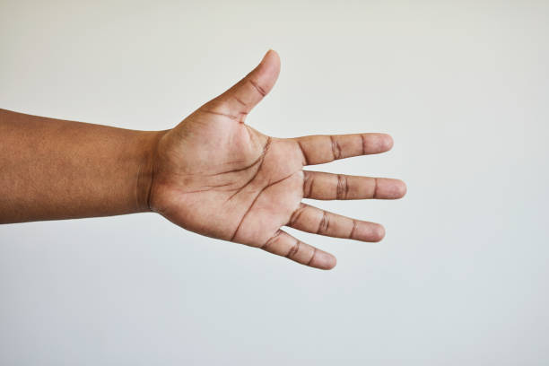 istock White background, open palm and hand in studio for hands gesture, advertising and mockup space. Sign language, high five and isolated woman showing palms for human icon, signal and reaching out 1473931469