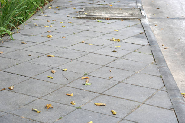 istock street background for people to walk 1473933614