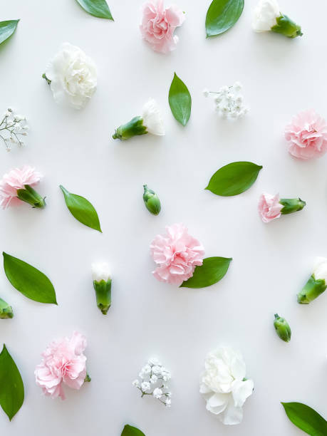 istock Floral pattern of pink and white carnations, green leaves 1473933794