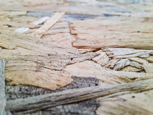 truciolare. primo piano sfondo pannello in legno pressato, legno osb - particle plank wood brown foto e immagini stock