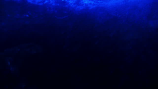 Underwater Ocean 96fps Slow Motion